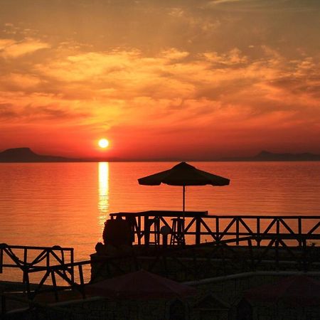 Alkionis Beach Hotel Apartments Sfáka エクステリア 写真