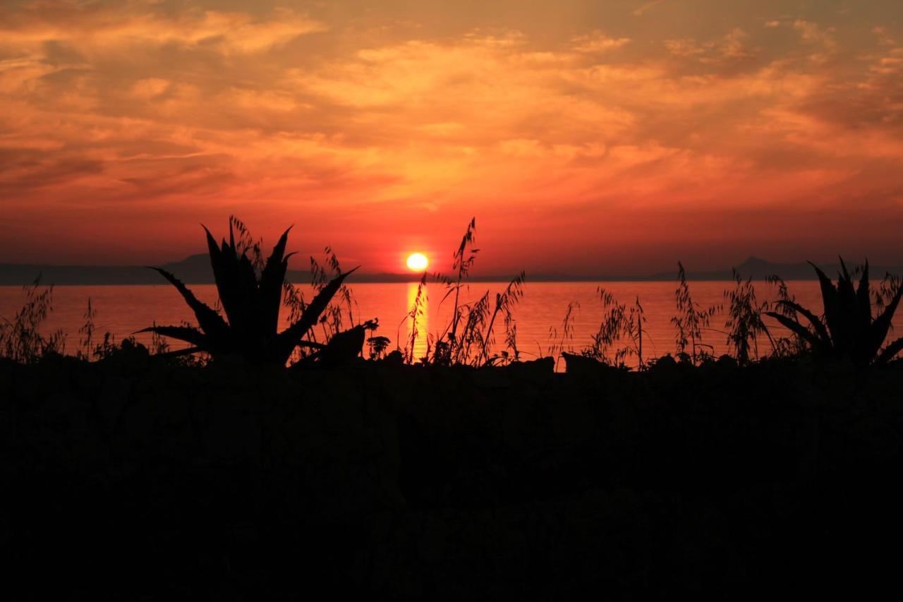 Alkionis Beach Hotel Apartments Sfáka エクステリア 写真