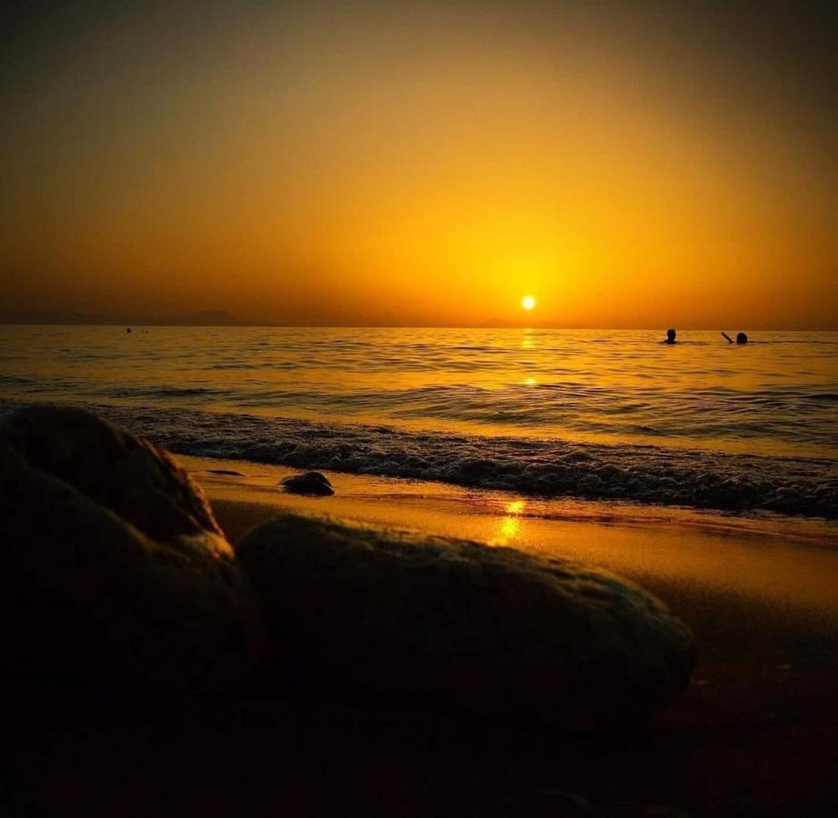 Alkionis Beach Hotel Apartments Sfáka エクステリア 写真